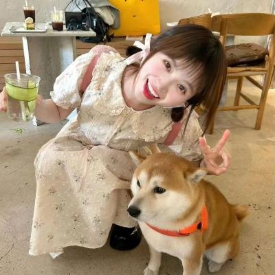 飘扬的红领巾